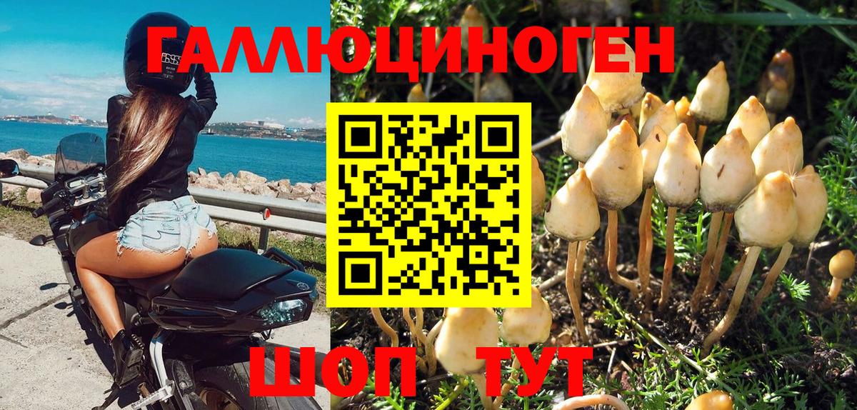 Чехов  Галлюциногенные грибы Psilocybe  Вход с VPN 